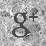google plus